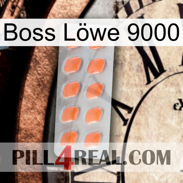 Boss Löwe 9000 26.jpg